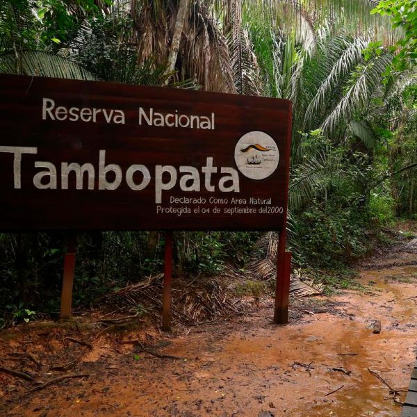 Tours en Tambopata  desde Puerto Rico